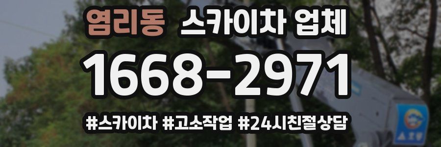 염리동 스카이차 업체