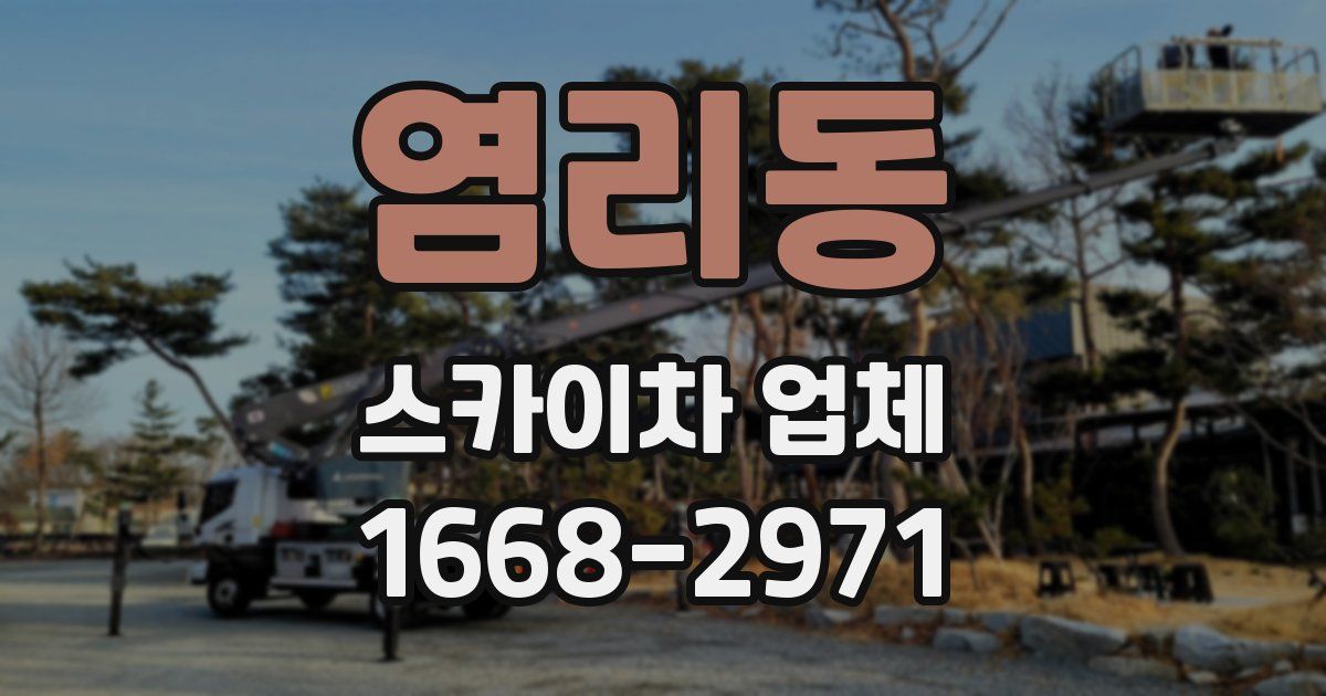 염리동 스카이차 업체
