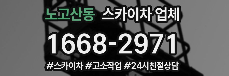 노고산동 스카이차 업체