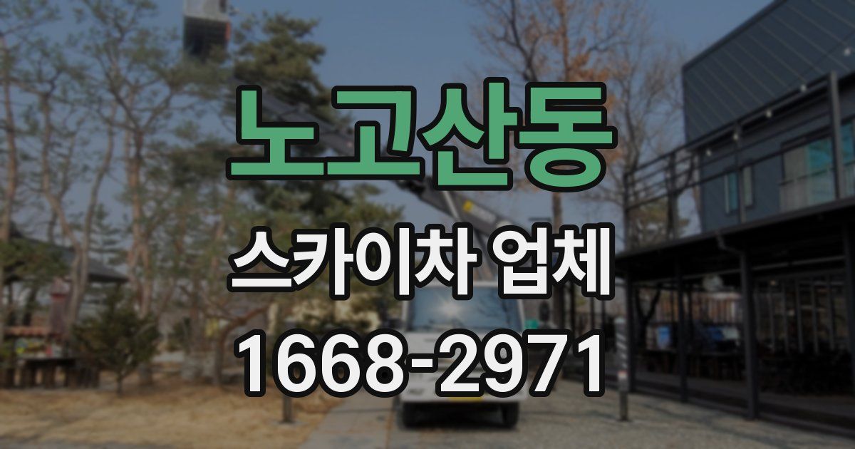 노고산동 스카이차 업체