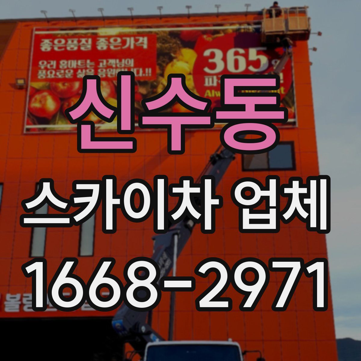 신수동 스카이차 업체