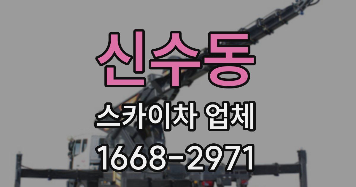 신수동 스카이차 업체