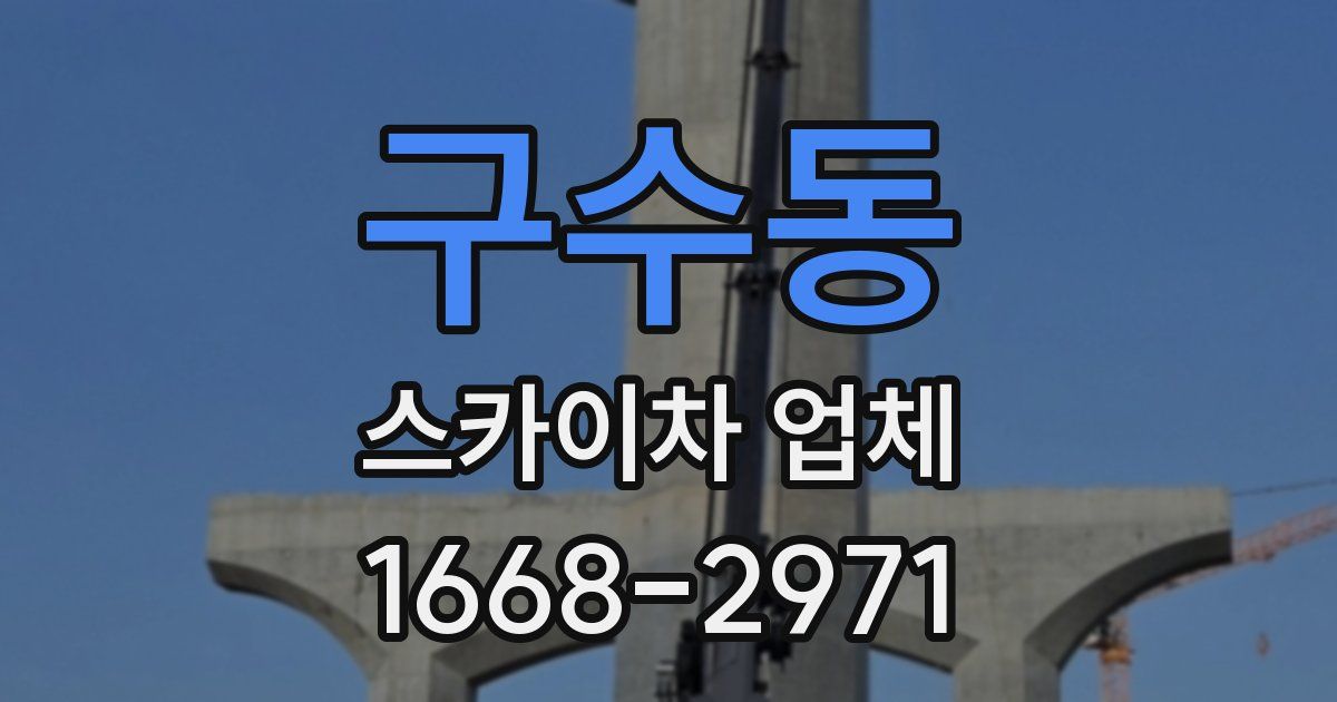 구수동 스카이차 업체