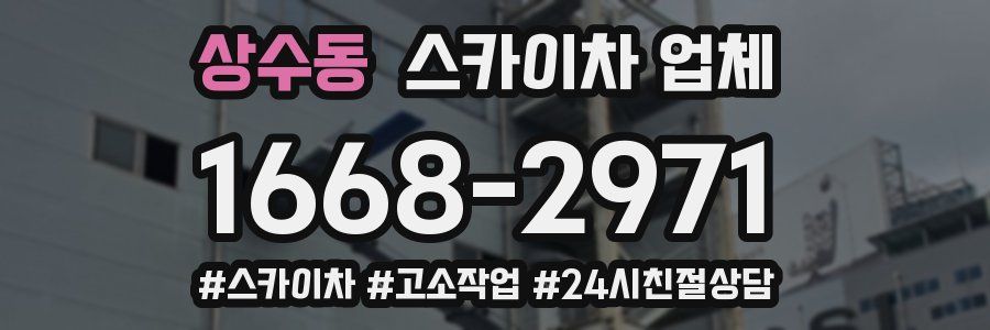 상수동 스카이차 업체