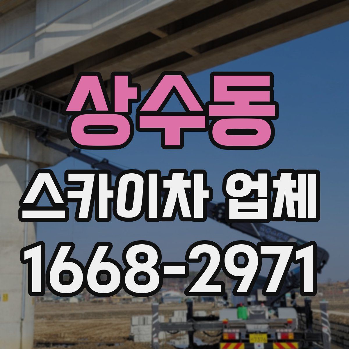 상수동 스카이차 업체