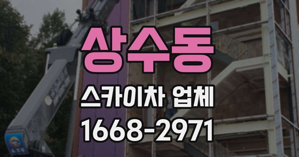 상수동 스카이차 업체