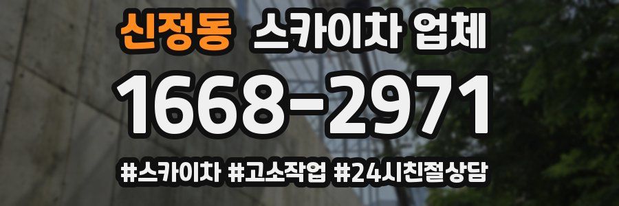 신정동 스카이차 업체