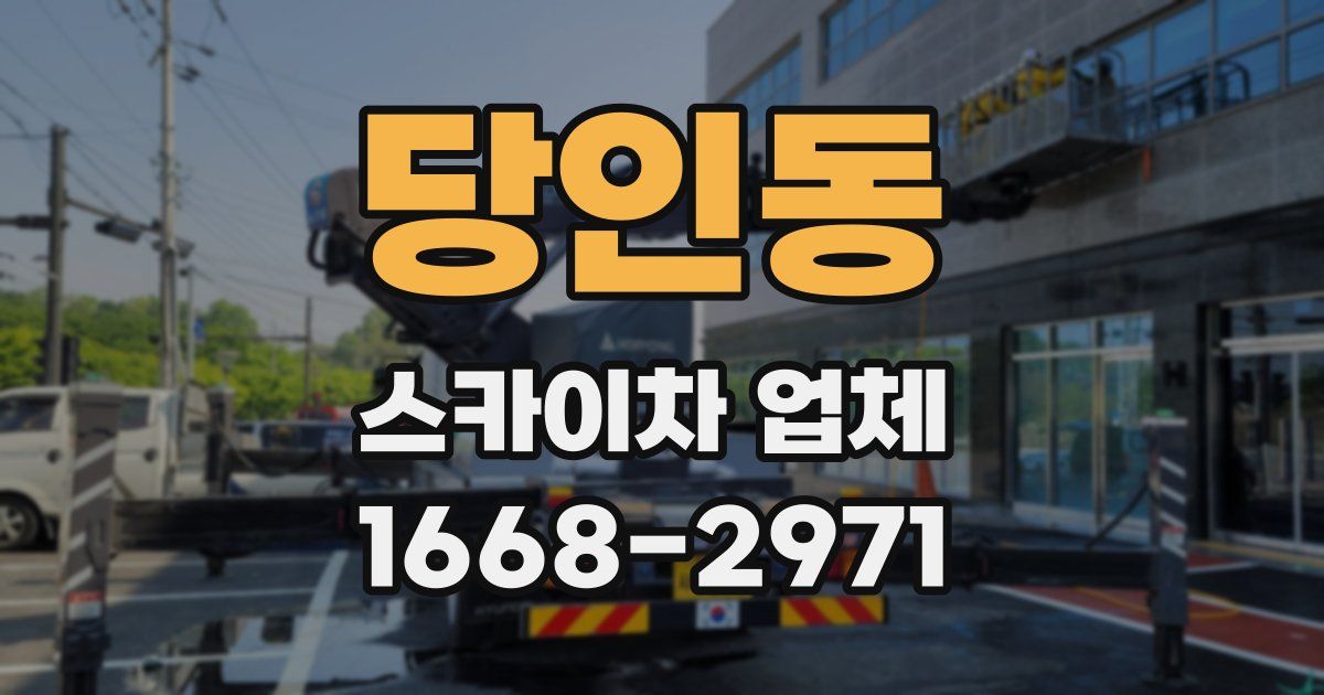 당인동 스카이차 업체