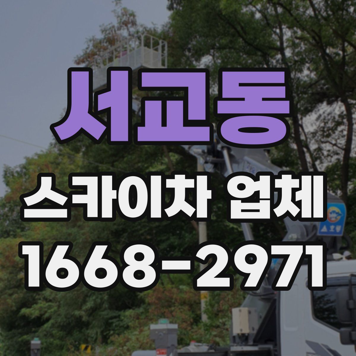 서교동 스카이차 업체