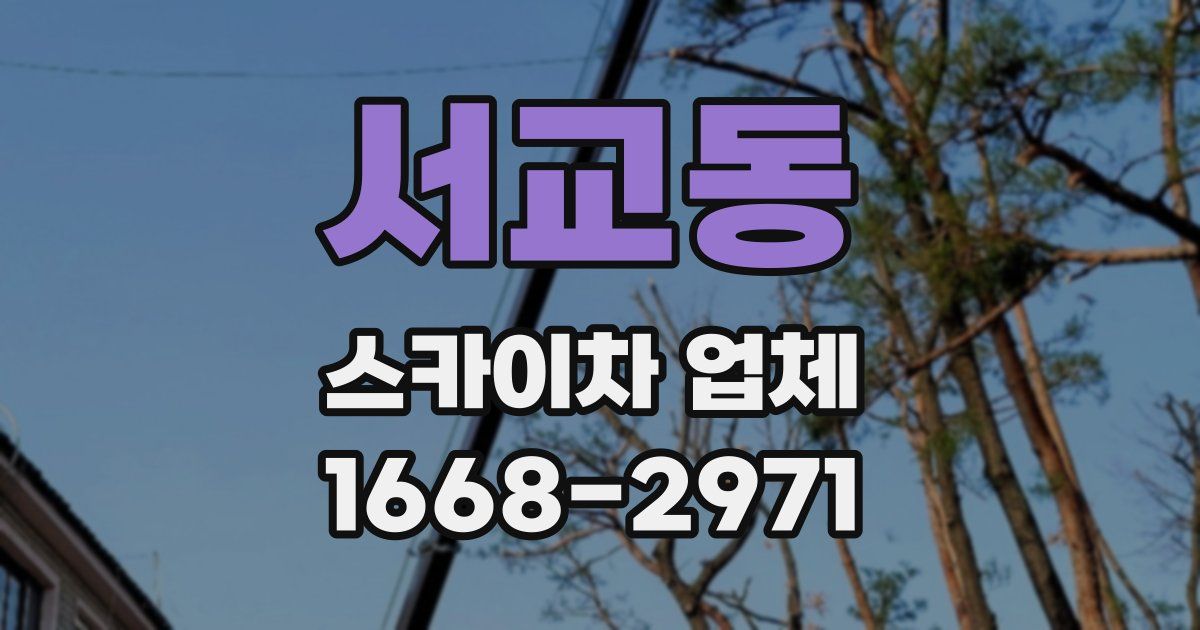 서교동 스카이차 업체