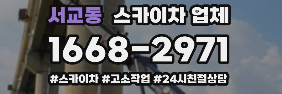 서교동 스카이차 업체