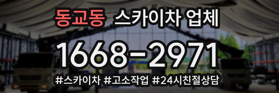 동교동 스카이차 업체