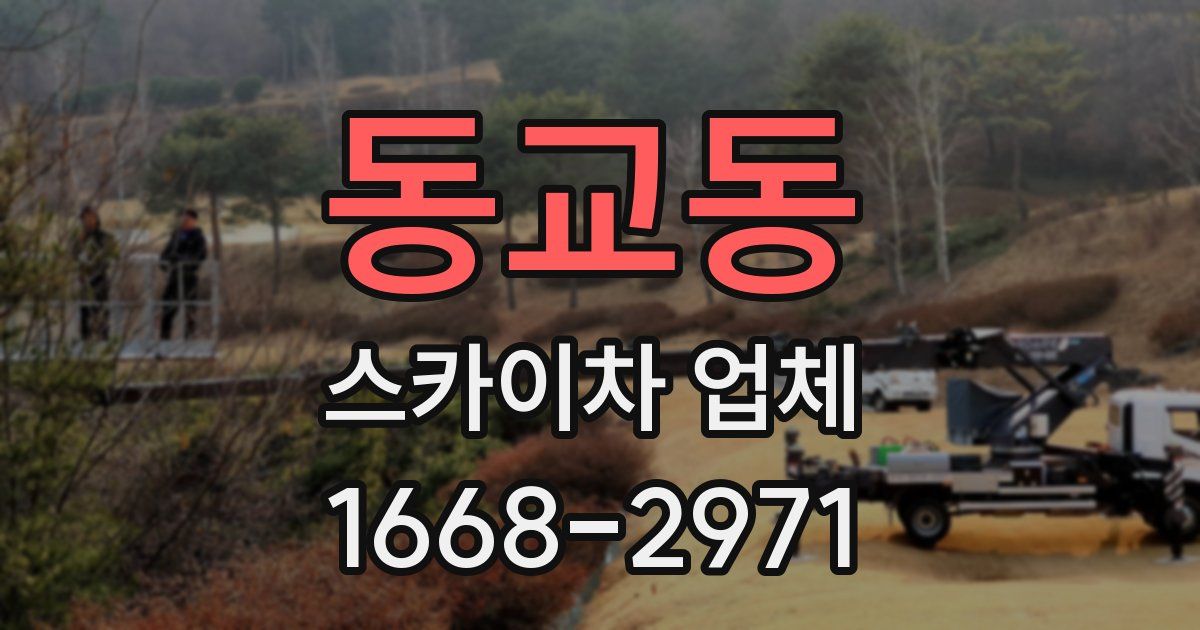 동교동 스카이차 업체
