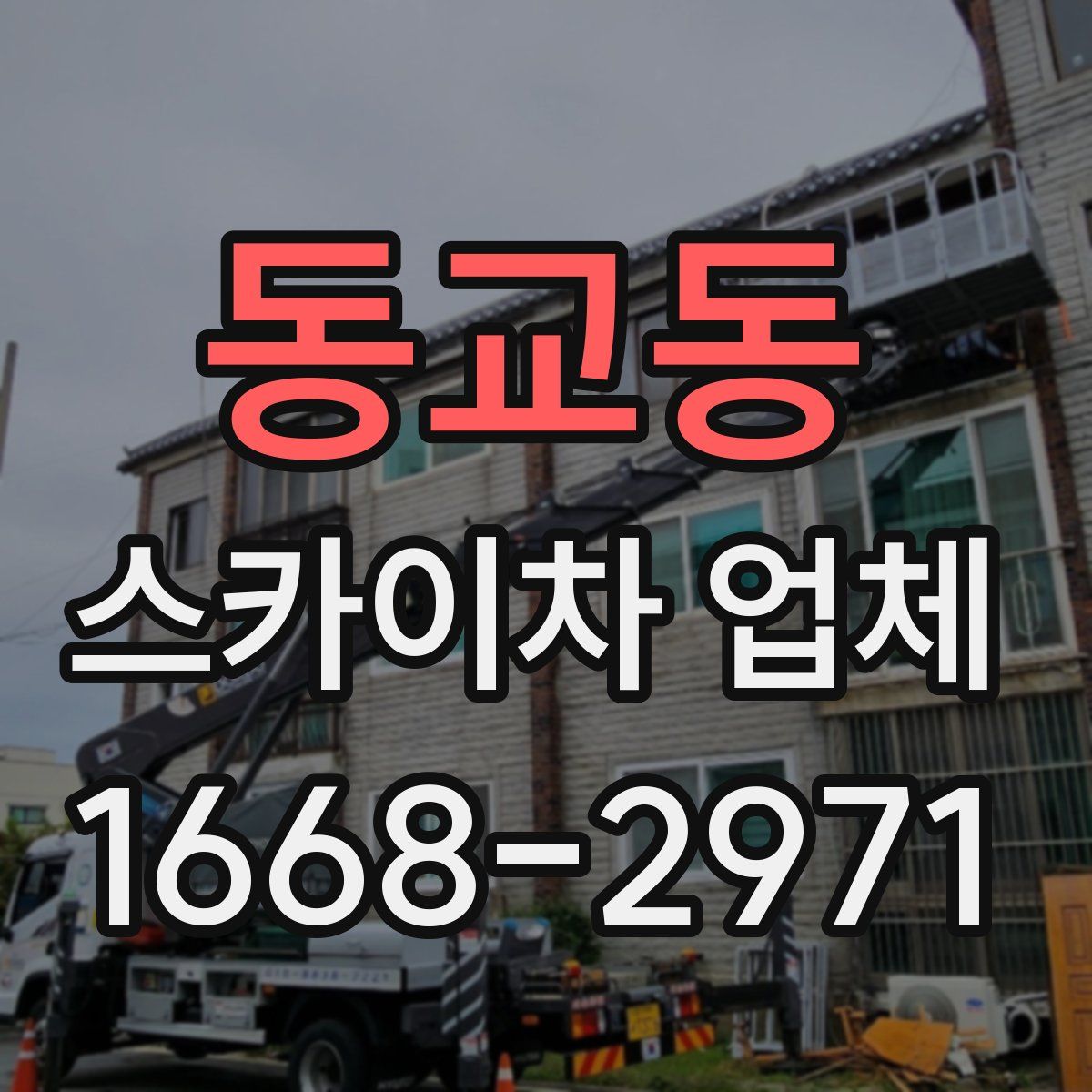 동교동 스카이차 업체