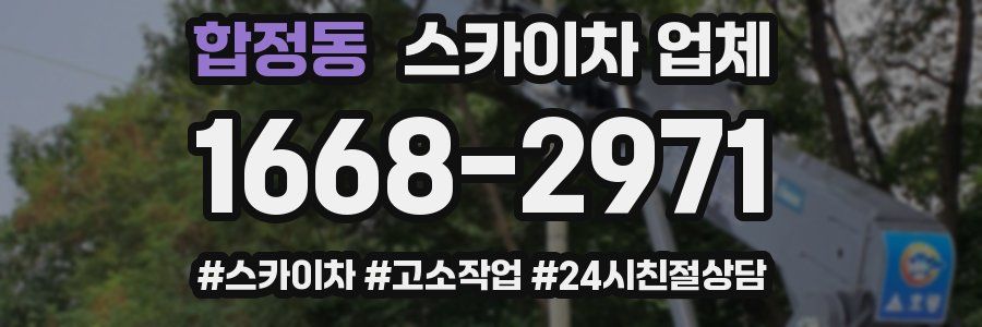 합정동 스카이차 업체