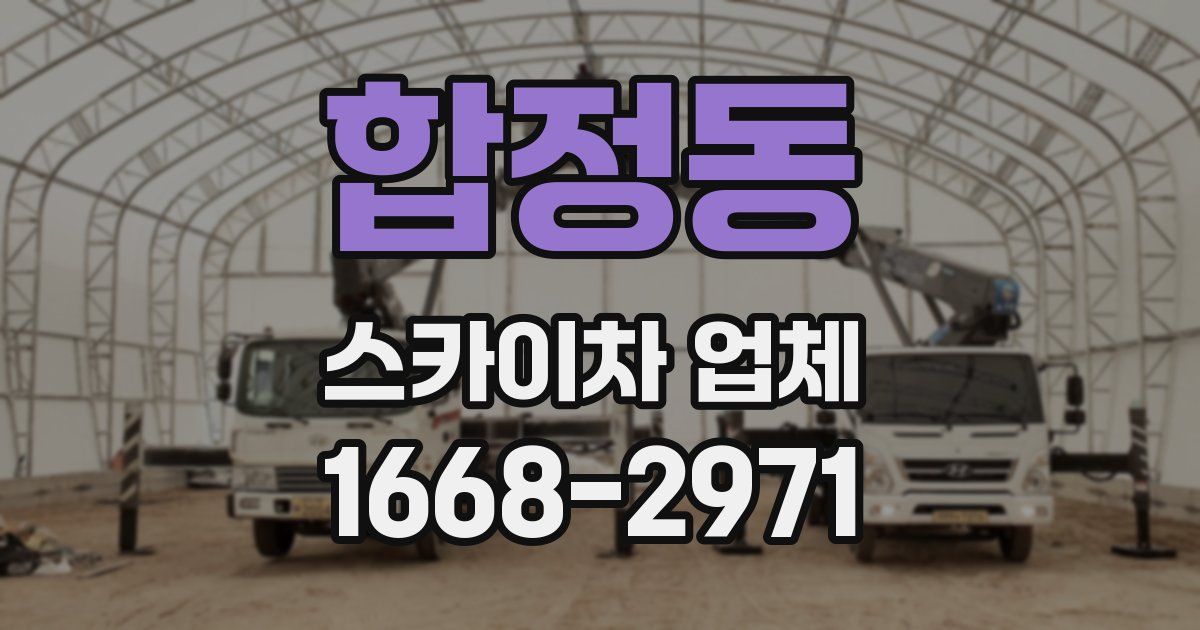 합정동 스카이차 업체
