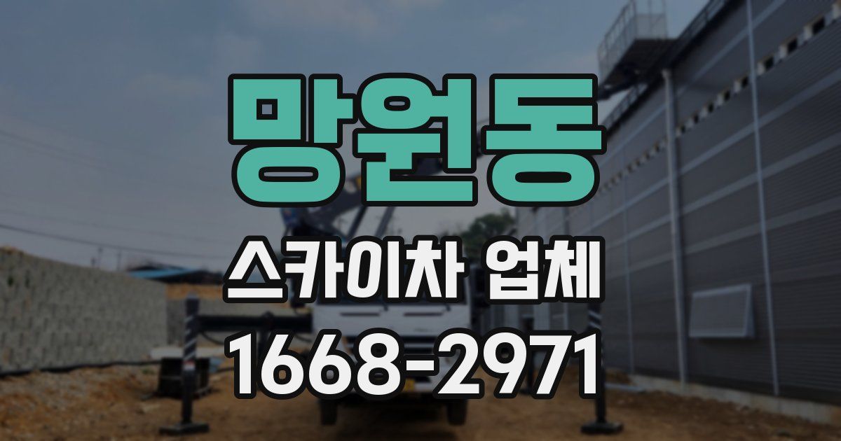 망원동 스카이차 업체