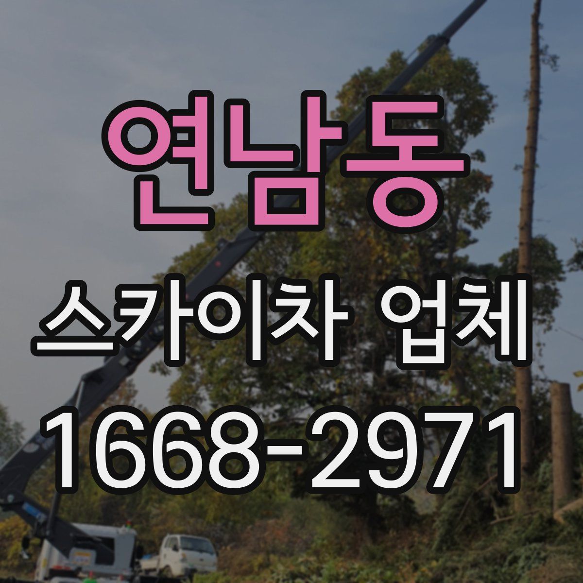 연남동 스카이차 업체