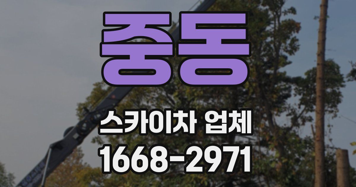 중동 스카이차 업체