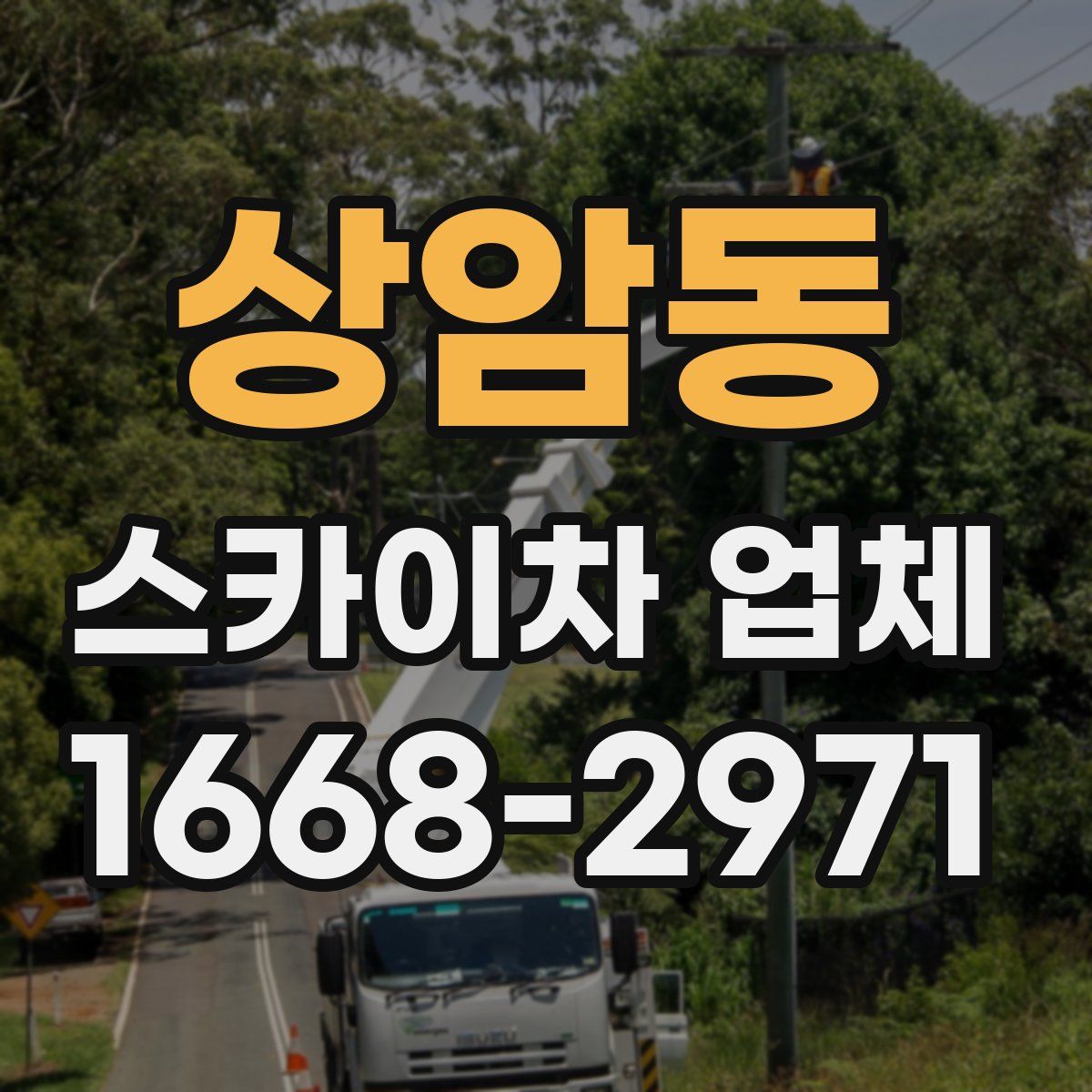 상암동 스카이차 업체