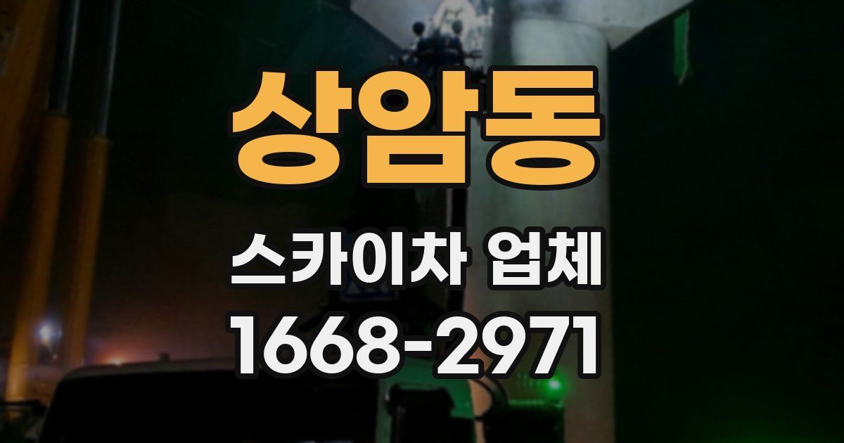 상암동 스카이차 업체