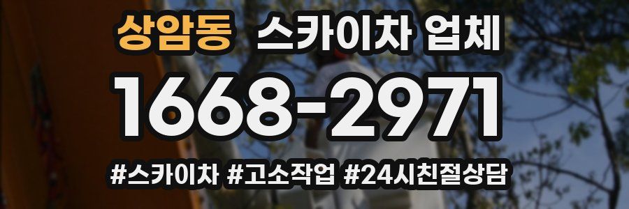 상암동 스카이차 업체