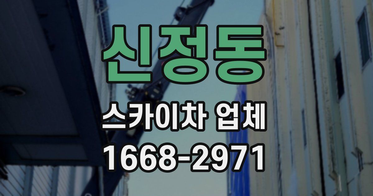 신정동 스카이차 업체