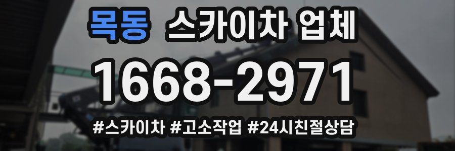 목동 스카이차 업체