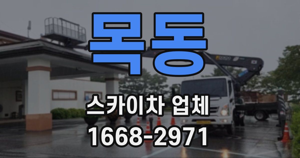 목동 스카이차 업체