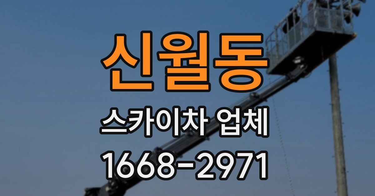 신월동 스카이차 업체