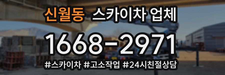 신월동 스카이차 업체