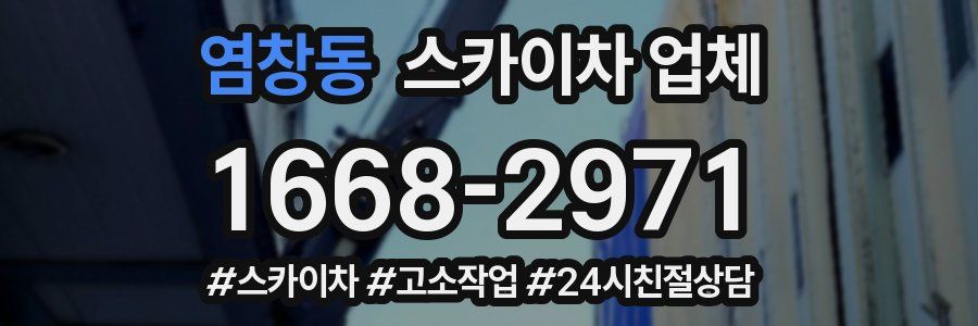 염창동 스카이차 업체