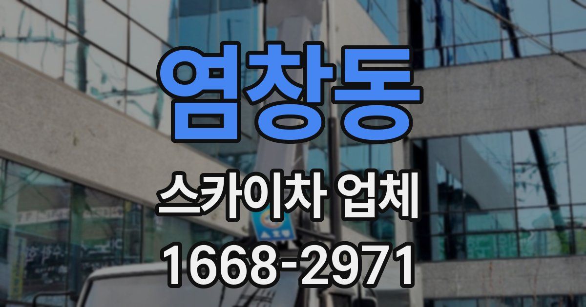 염창동 스카이차 업체