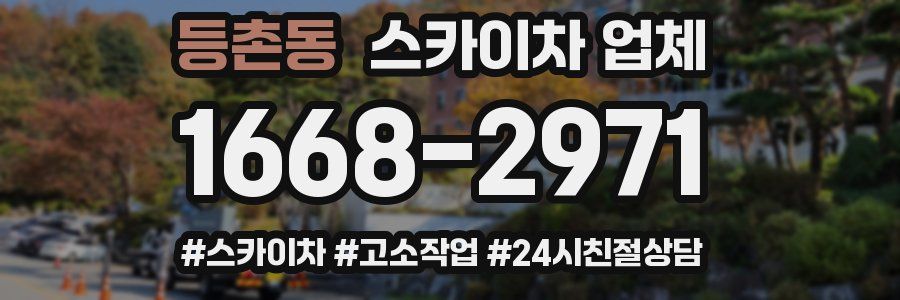 등촌동 스카이차 업체