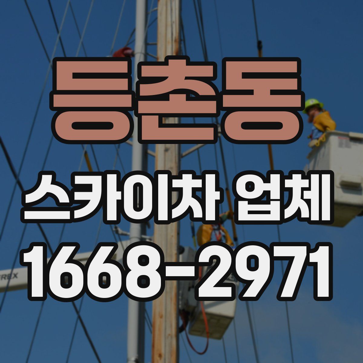 등촌동 스카이차 업체