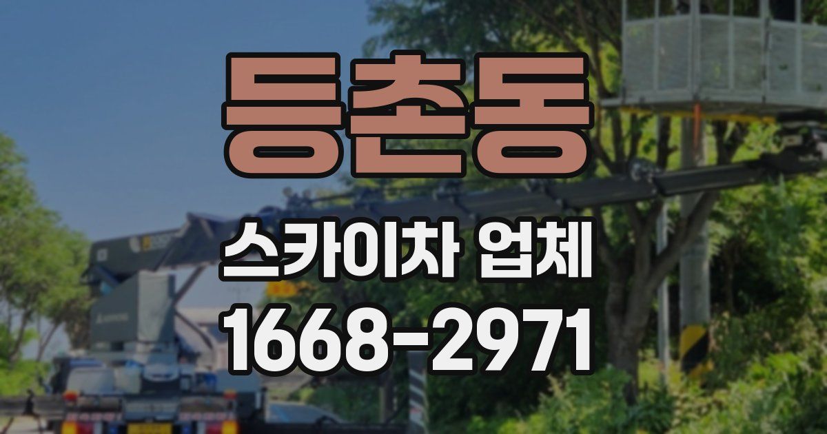 등촌동 스카이차 업체