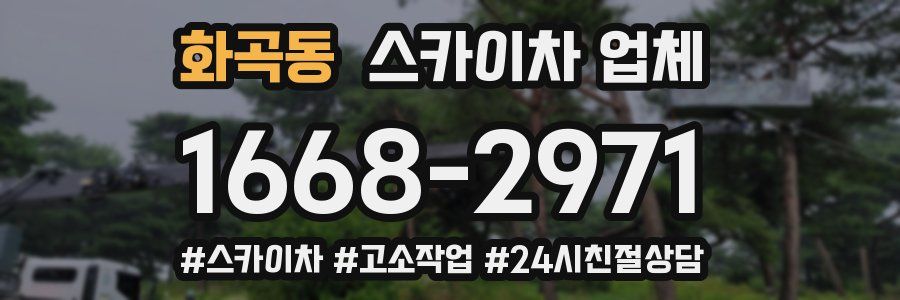 화곡동 스카이차 업체