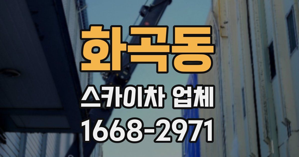 화곡동 스카이차 업체