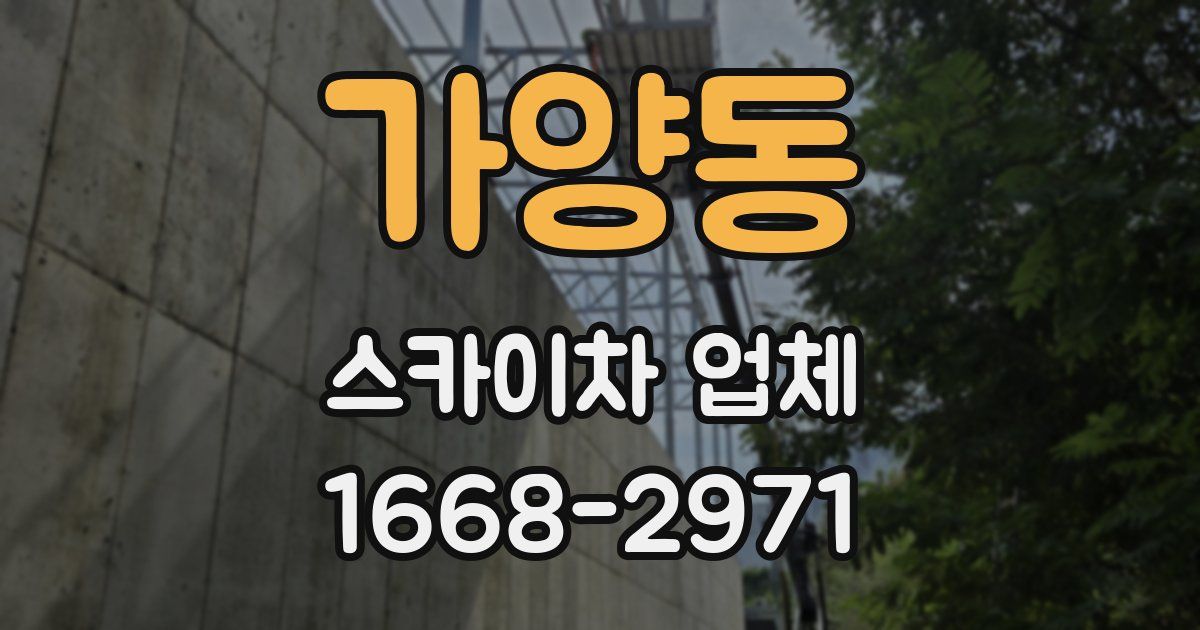 가양동 스카이차 업체