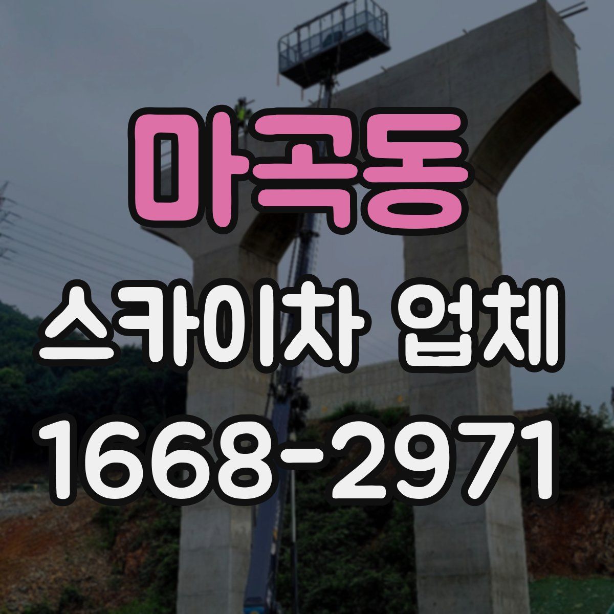 마곡동 스카이차 업체