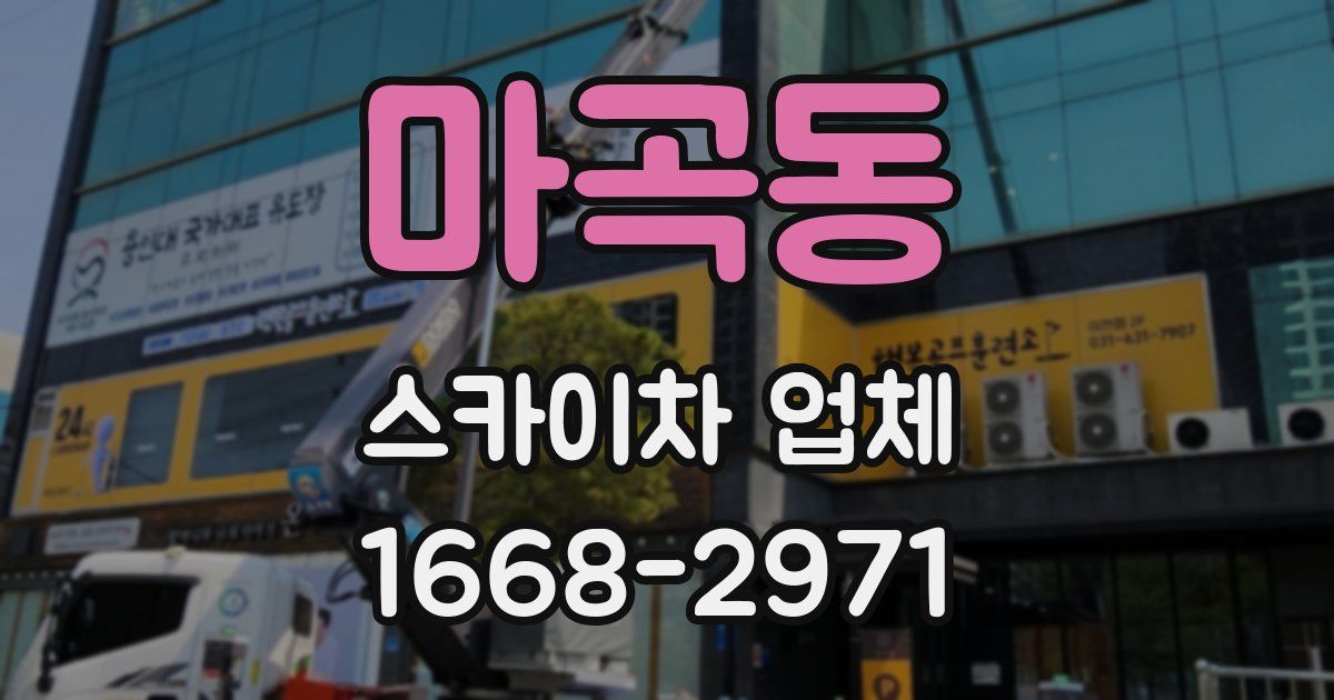 마곡동 스카이차 업체