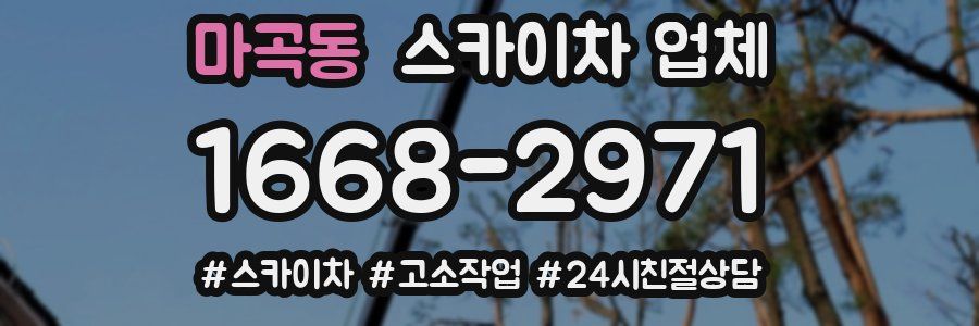 마곡동 스카이차 업체