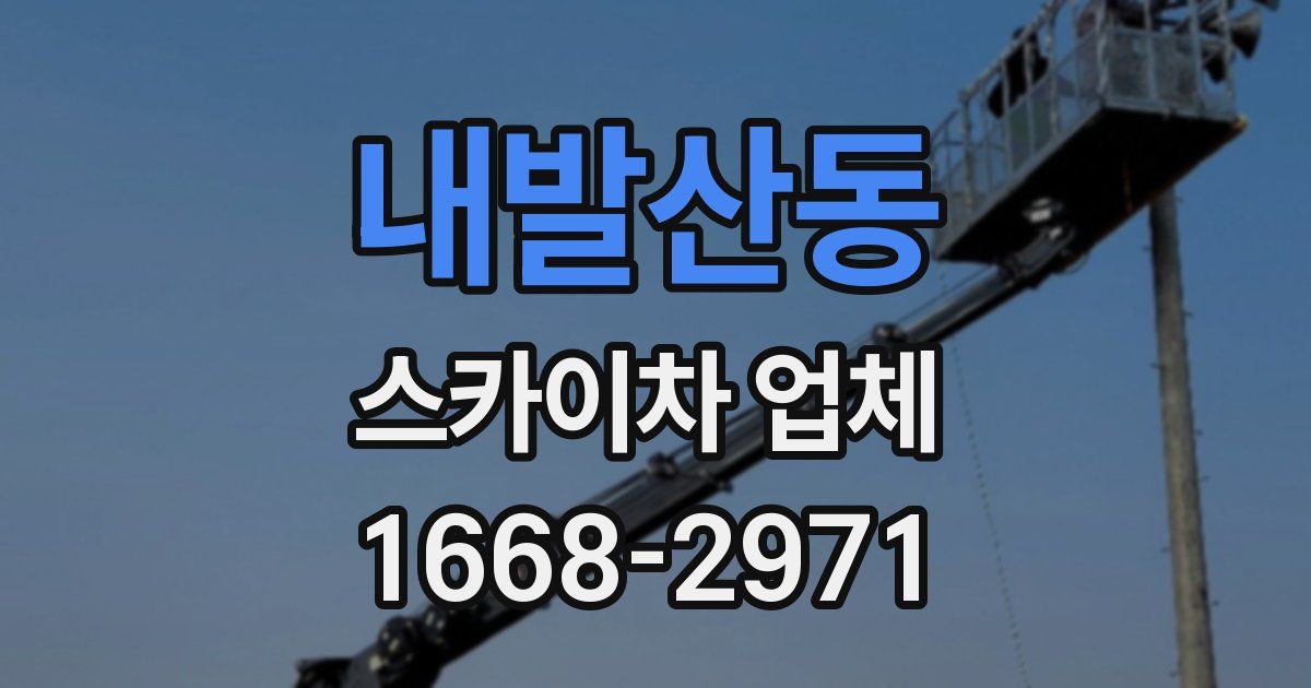 내발산동 스카이차 업체