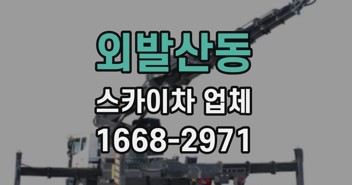 외발산동 스카이차 업체