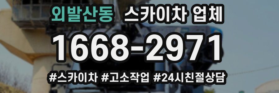 외발산동 스카이차 업체