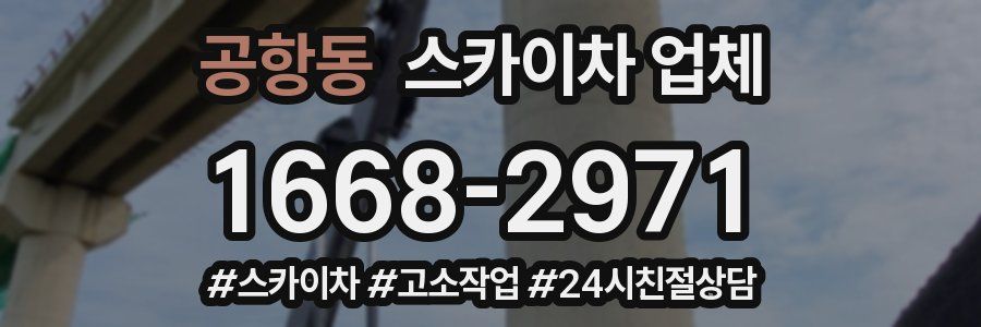 공항동 스카이차 업체