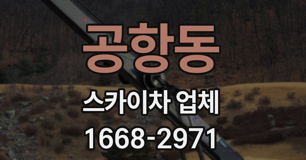 공항동 스카이차 업체