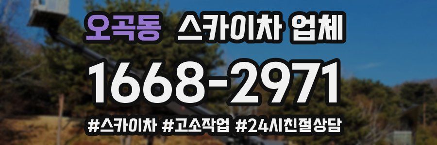 오곡동 스카이차 업체