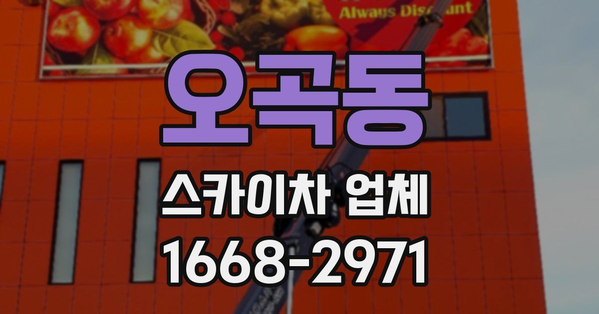 오곡동 스카이차 업체