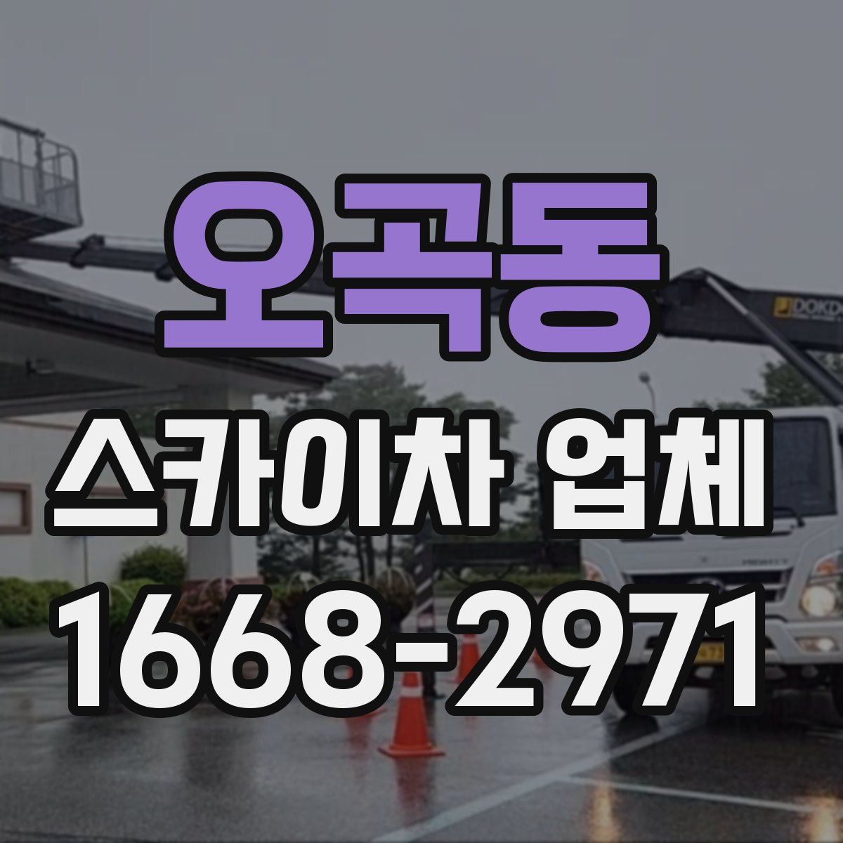오곡동 스카이차 업체